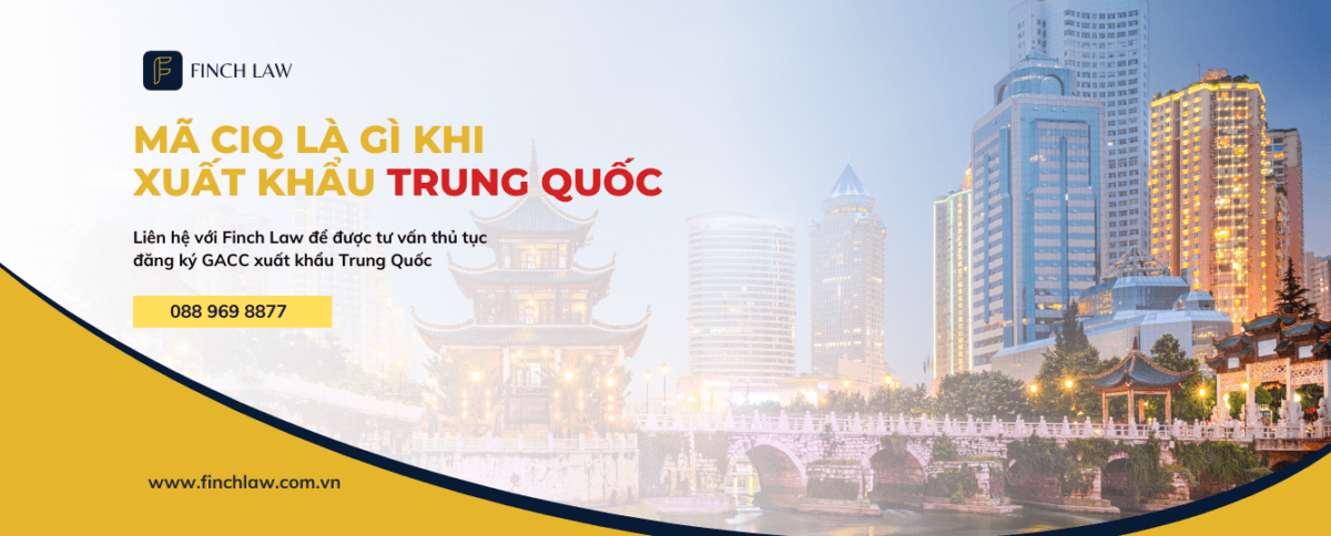 Mã CIQ là gì khi xuất khẩu Trung Quốc? Những điều cần biết về mã CIQ