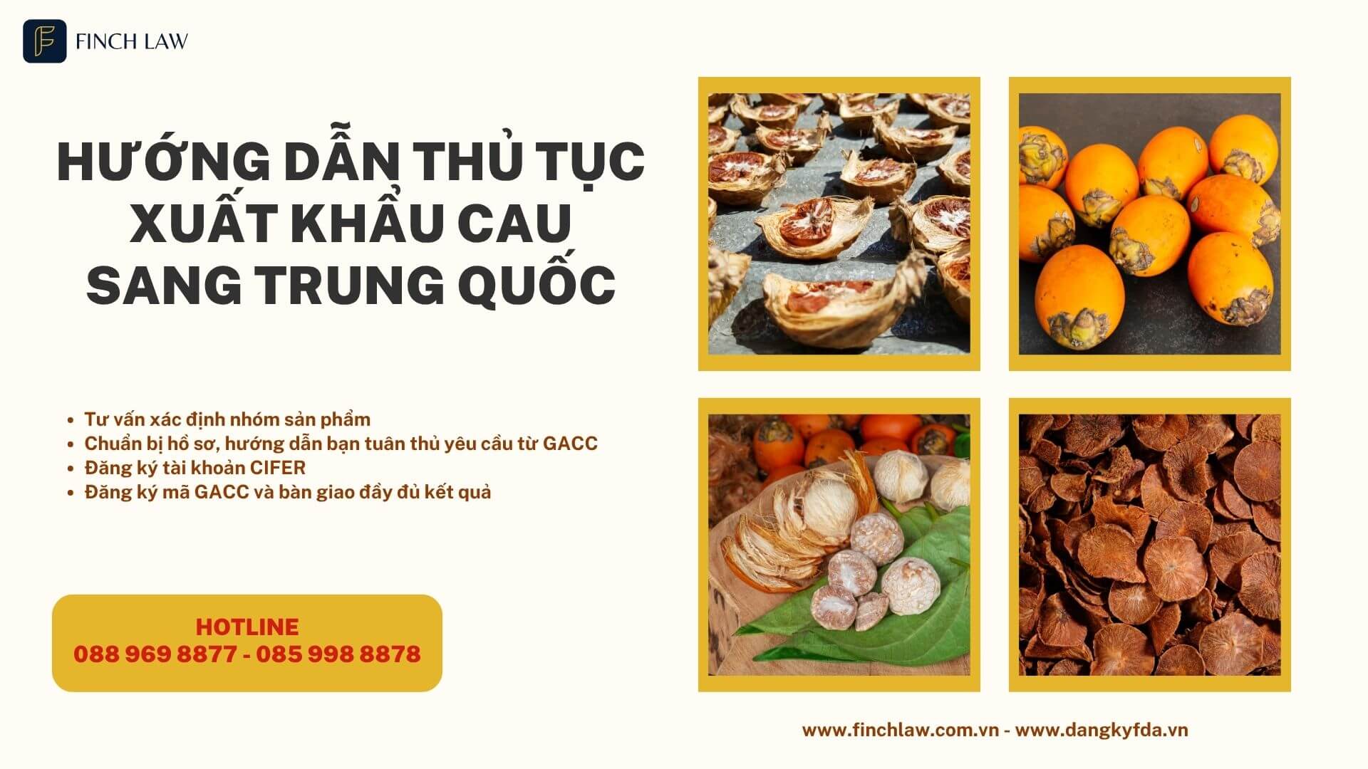 Hướng dẫn thủ tục xuất khẩu cau sang trung quốc