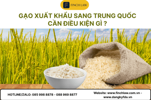 Xuất khẩu gạo sang Trung Quốc – Hướng dẫn thủ tục chi tiết