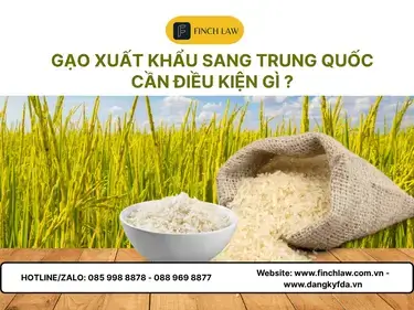 Xuất khẩu gạo sang Trung Quốc – Hướng dẫn thủ tục chi tiết