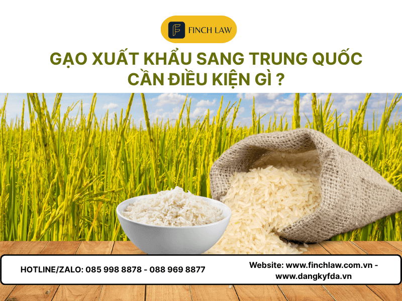 Gạo xuất khẩu sang trung Quốc cần điều kiện gì